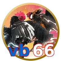 vb66