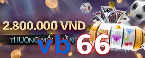 vb66
