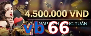 vb66