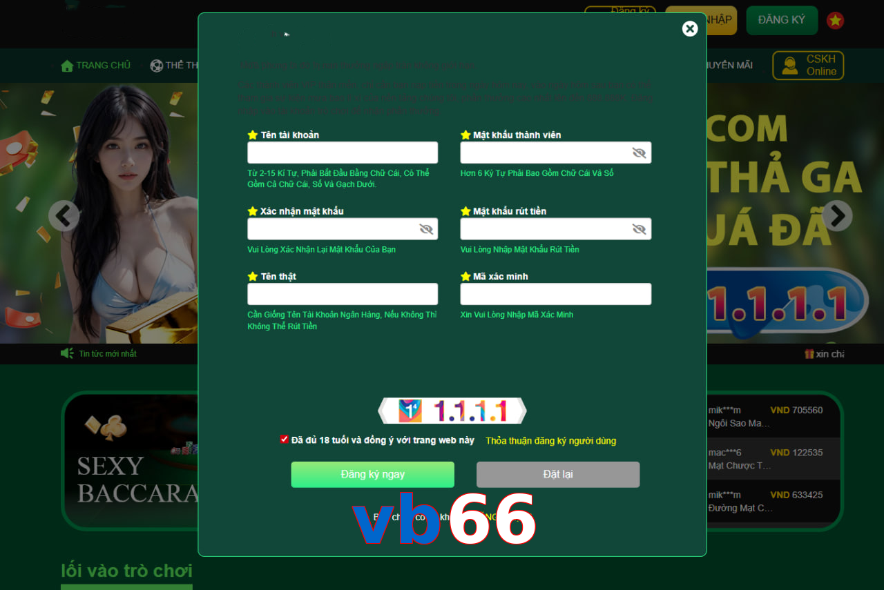 vb66